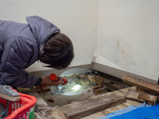 Best Mold Remediation for Healthcare Facilities  in Woodsboro, MD