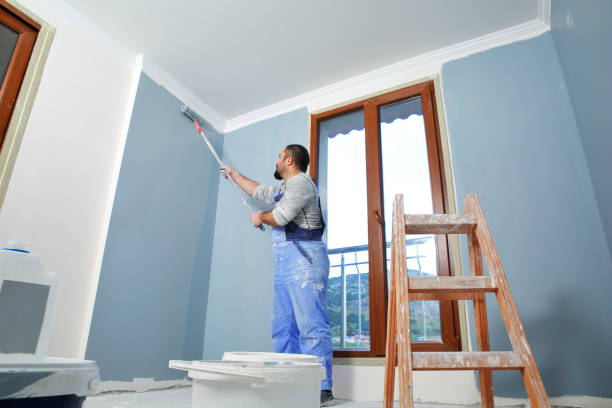 Best Mold Damage Restoration  in Woodsboro, MD