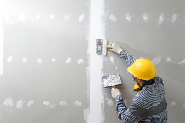 Environmental Consulting for Mold Prevention in Woodsboro, MD