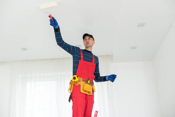 Best Dehumidification Services  in Woodsboro, MD