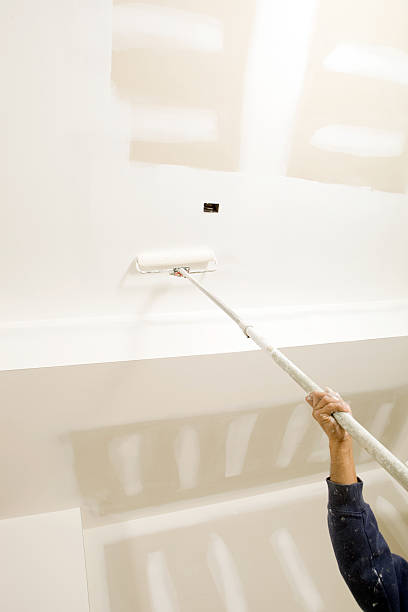 Best Black Mold Removal  in Woodsboro, MD